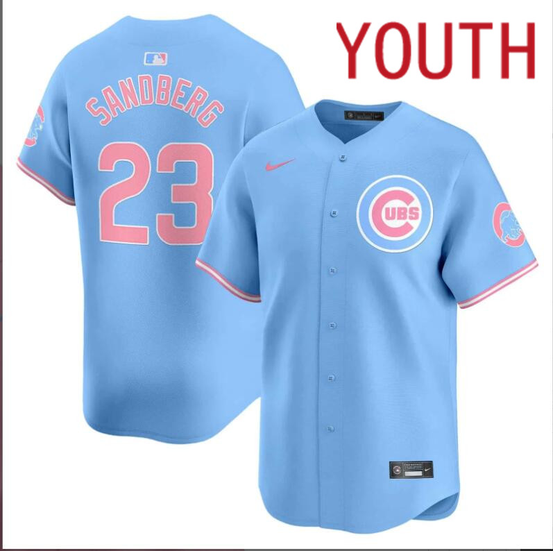 Youth Chicago Cubs #23 Sandberg blue 2024 Nike MLB jersey